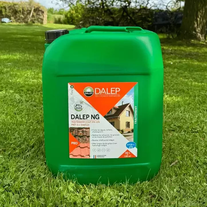 nettoyage toiture le mans